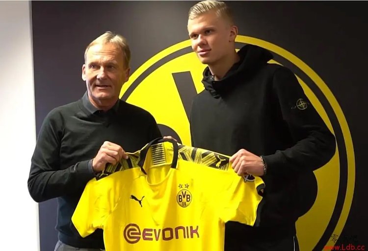 男排世联赛第二周戈麦斯17分阿根廷男排零封荷兰队