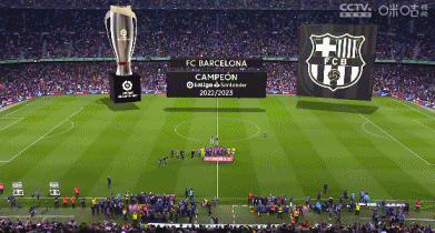 奥纳纳：这几周过得很艰难，但我希望能够在赛季初回归